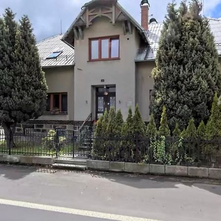 Penzion U Lastuvku Šluknov Extérieur photo
