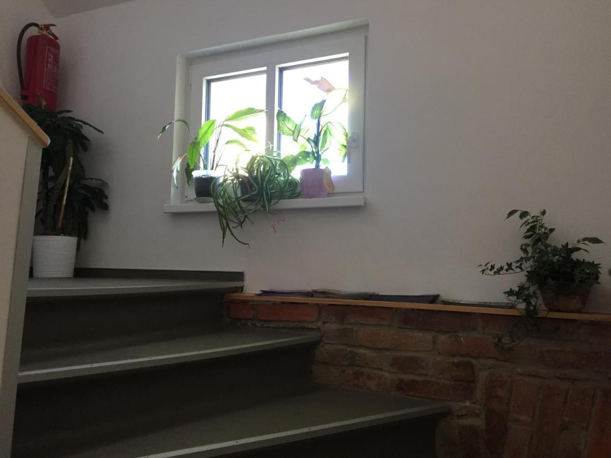 Penzion U Lastuvku Šluknov Extérieur photo